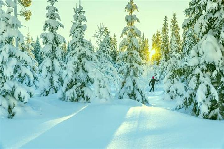 Luna, 27 — Escort in Tervakoski, Finland