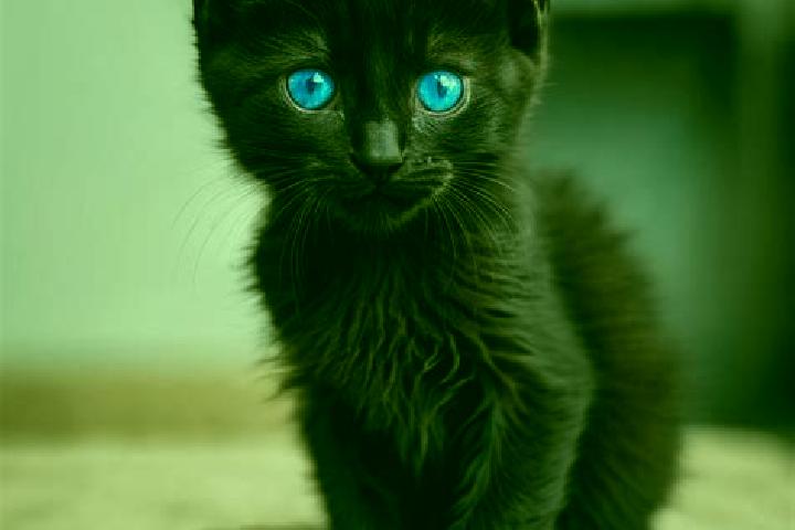 Luna, 28, a black blue-eyed caribbean companion based in Tavigny. Offering CIM, Overnight, Massage, GFE. Available for incall and outcall, overnight bookings...