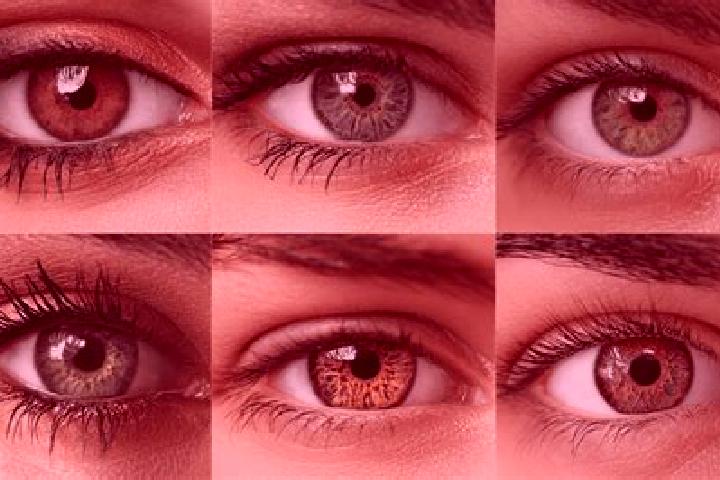 Luna, 28, a red hazel-eyed ebony companion based in Sagobog. Offering BDSM, Tantra, OWO, A-Level, Party Girl. Available for incall and outcall, day and eveni...