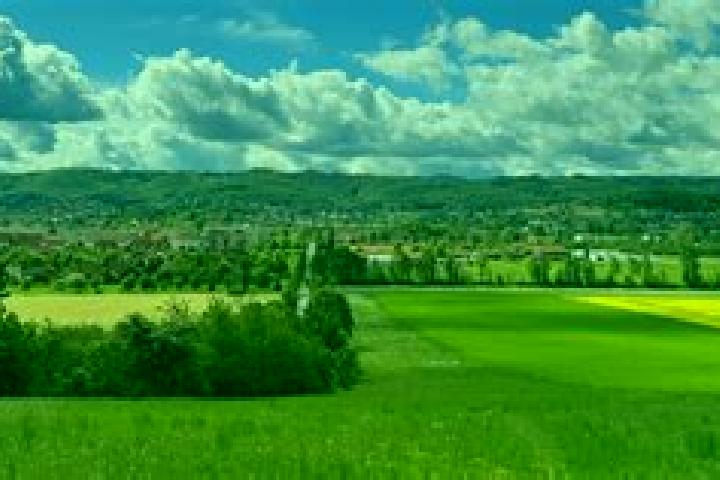 Luna, 28 — Escort in Drohndorf, Germany