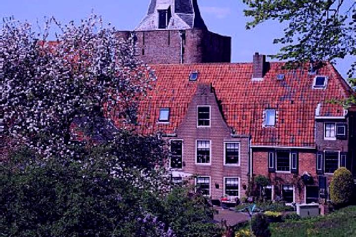 Luna, 28 — Escort in Elburg, Netherlands