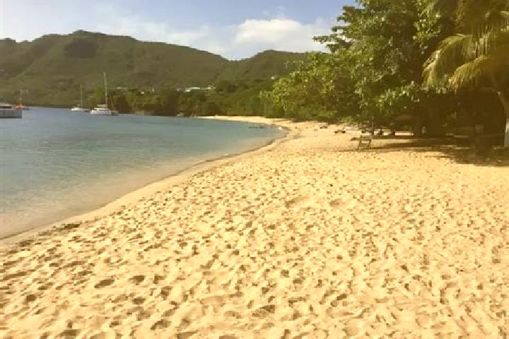 Luna, 28 — Escort in Petit Bordel, Saint Vincent and the Grenadines