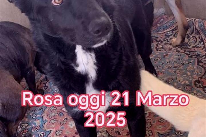 Luna, 28 — Escort in Tuturano, Italy