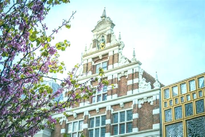 Luna, 29 — Escort in Haaksbergen, Netherlands