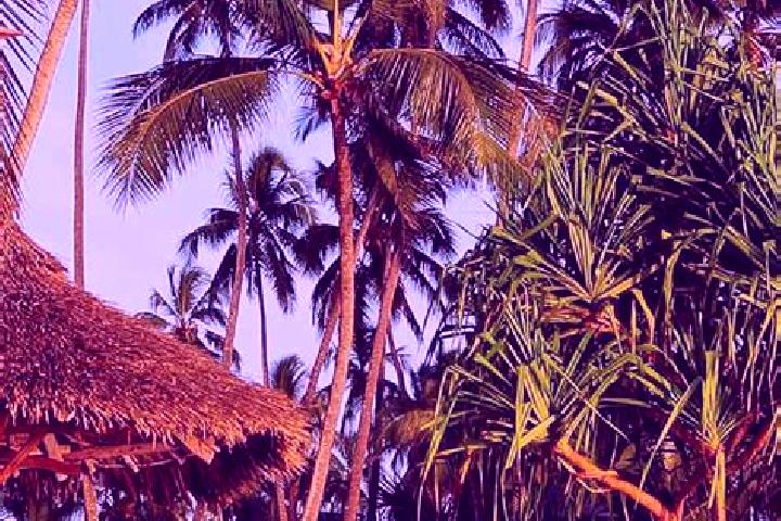 Luna, 29 — Escort in Kibiti, Tanzania