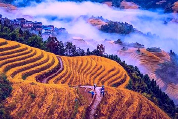 Luna, 29 — Escort in Longji, China