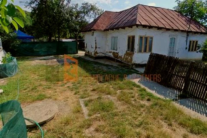 Luna, 29 — Escort in Manzalesti, Romania