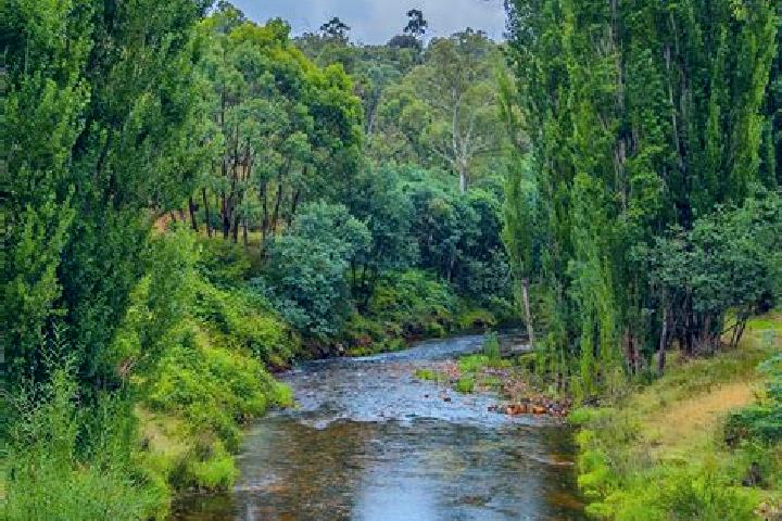 Luna, 29 — Escort in Mountain River, Australia