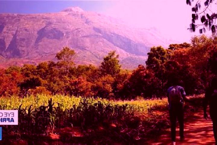 Luna, 29 — Escort in Mulanje, Malawi