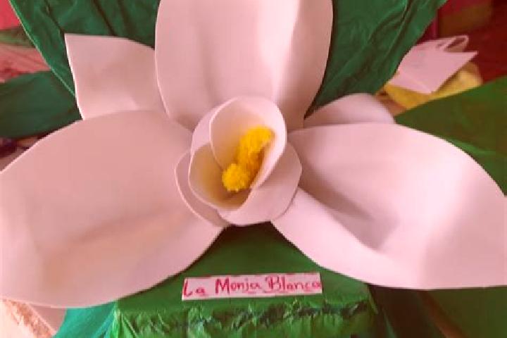 Luna, 30 — Escort in Flor Blanca, Mexico