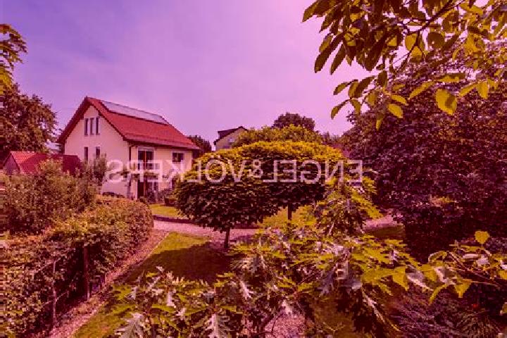 Luna, 30 — Escort in Henfenfeld, Germany