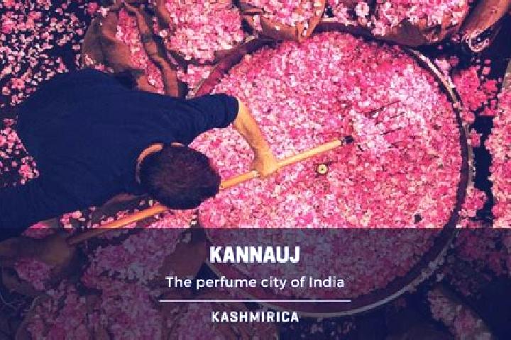 Luna, 30 — Escort in Kannauj, India