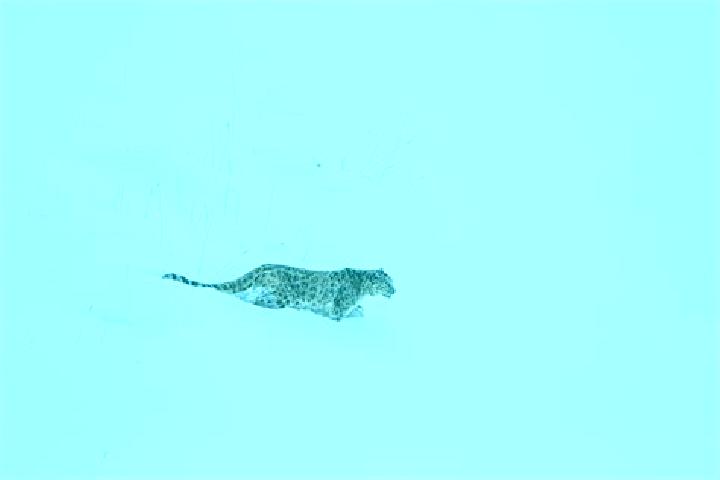 Luna, 30 — Escort in Snow, Belarus