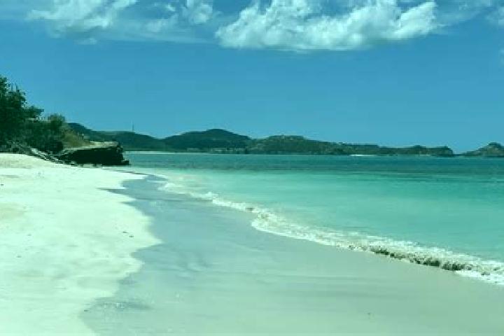 Luna, 31 — Escort in Carlisle, Antigua and Barbuda