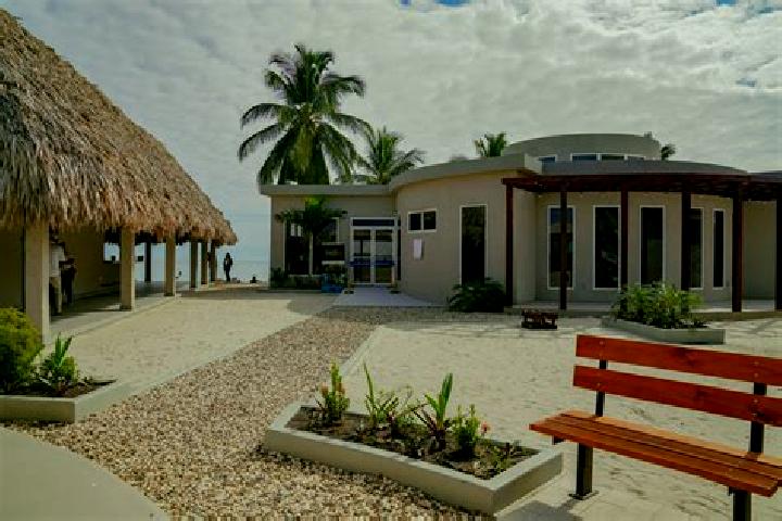 Luna, 31 — Escort in Seine Bight Village, Belize