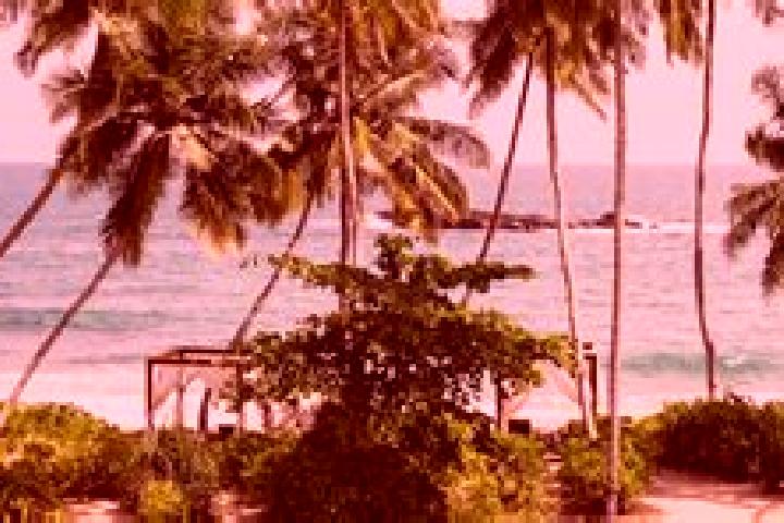 Luna, 31 — Escort in Tangalle, Sri Lanka