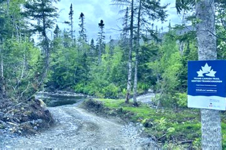 Luna, 31 — Escort in Trail, Canada