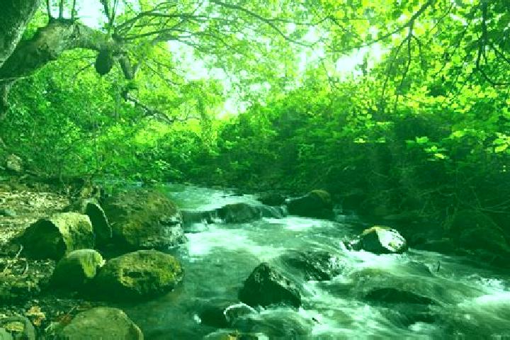Luna, 31 — Escort in Usa River, Tanzania