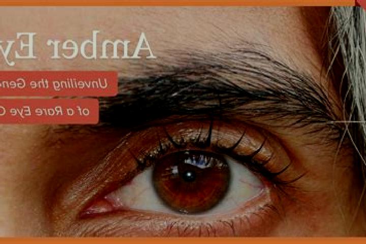Luna, 32, a black amber-eyed mediterranean companion based in Sint-Kornelis-Horebeke. Offering Tantra, Dinner Date, Deep French Kissing, Travel Companion. Av...