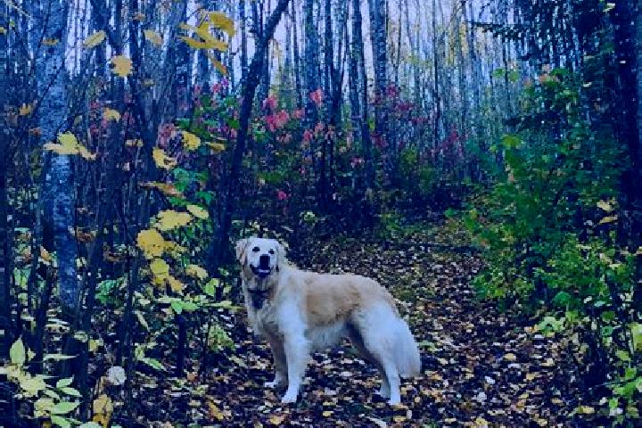 Luna, 32 — Escort in Iroquois Falls, Canada