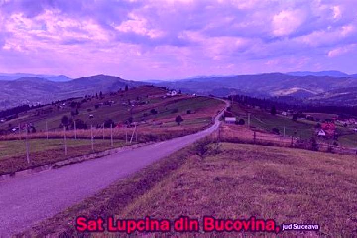 Luna, 32 — Escort in Lupcina, Romania