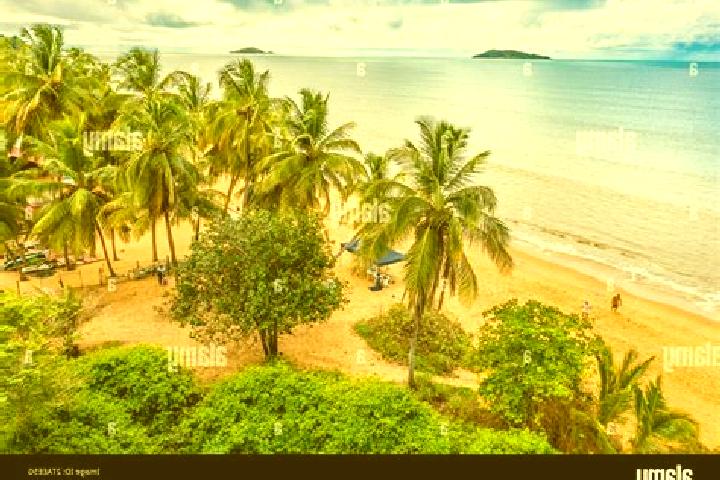 Luna, 32 — Escort in Remire, French Guiana