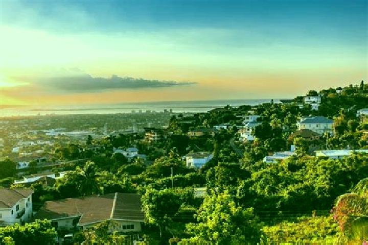 Luna, 33 — Escort in Balaclava, Jamaica