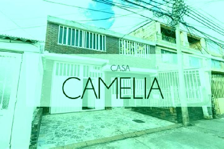 Luna, 33 — Escort in Camelia (Barrio la Camelia), Mexico