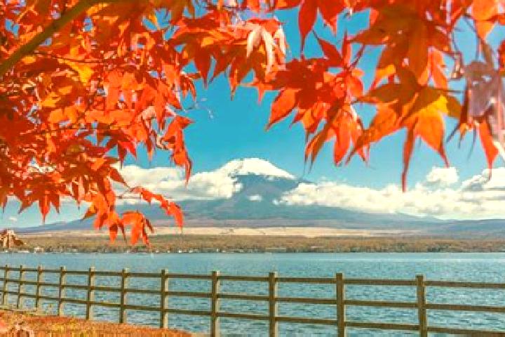Luna, 33 — Escort in Sakado, Japan