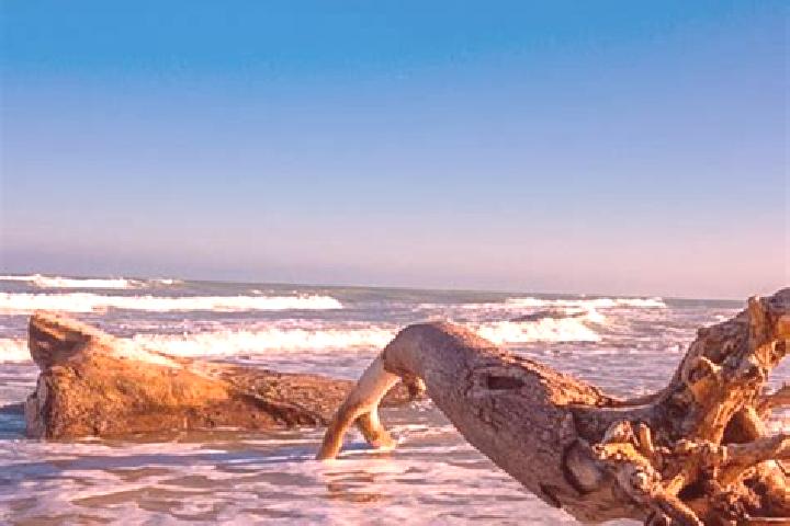 Luna, 34 — Escort in Barra del Tordo, Mexico