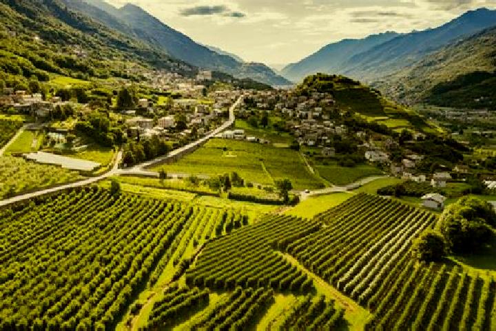 Luna, 34 — Escort in Berbenno, Italy
