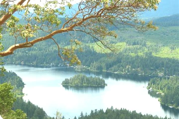 Luna, 34 — Escort in Shawnigan Lake, Canada