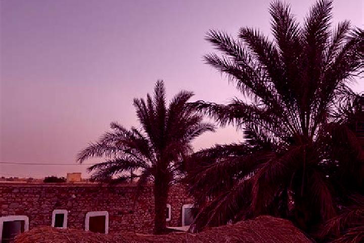 Luna, 34 — Escort in Taguilalett, Mauritania