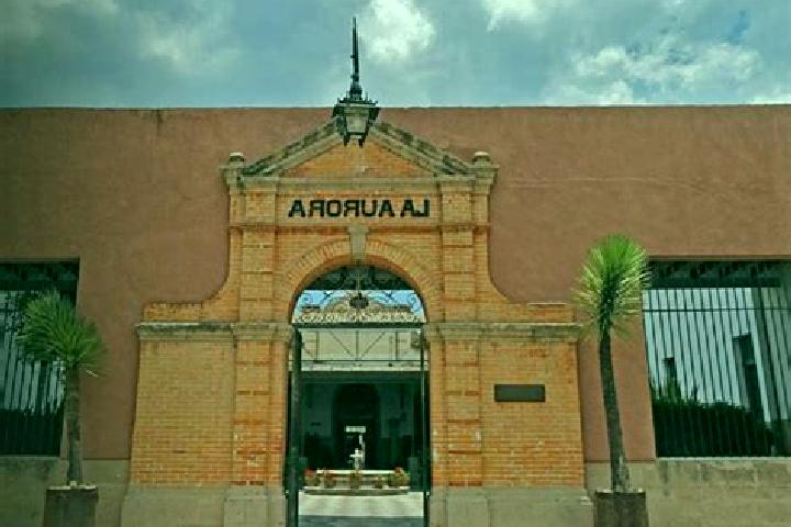 Luna, 34 — Escort in Tequila 1ra. Seccion (La Aurora), Mexico