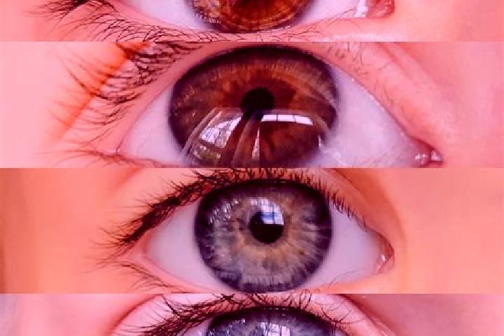 Luna, 35, a chestnut hazel-eyed mediterranean companion based in Saviano. Offering Massage, Prostate Massage, Duos, OWO. Available for incall and outcall, ov...