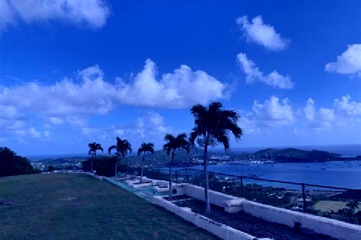 Luna, 35 — Escort in Barnes Hill, Antigua and Barbuda
