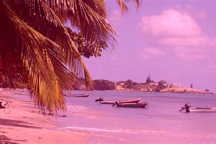 Luna, 35 — Escort in Laborie, Saint Lucia