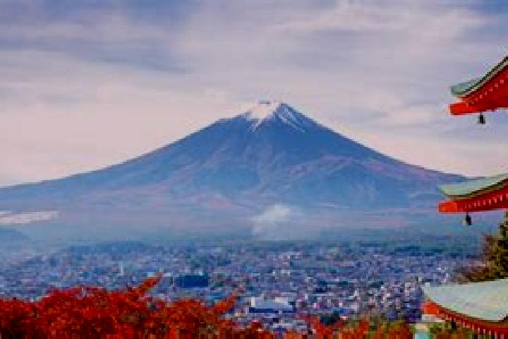 Luna, 35 — Escort in Shimizu, Japan