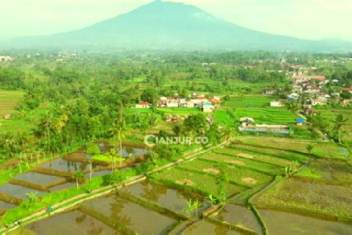 Luna, 35 — Escort in Sukamantri Satu, Indonesia