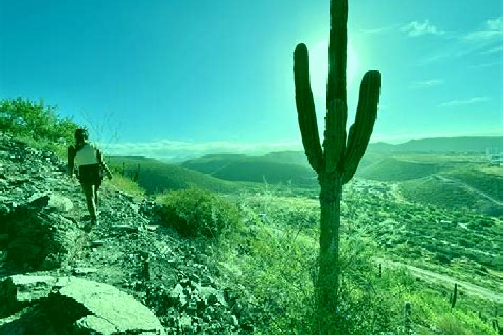 Luna, 36 — Escort in Cerro de la Cruz, Mexico