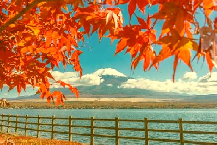 Luna, 36 — Escort in Iizakamachi, Japan