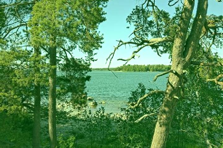 Luna, 36 — Escort in Koskela, Finland