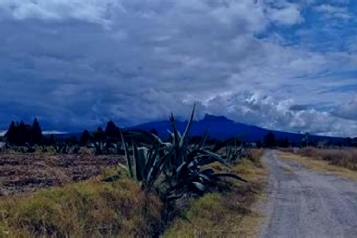 Luna, 36 — Escort in La Magdalena Tlaltelulco, Mexico
