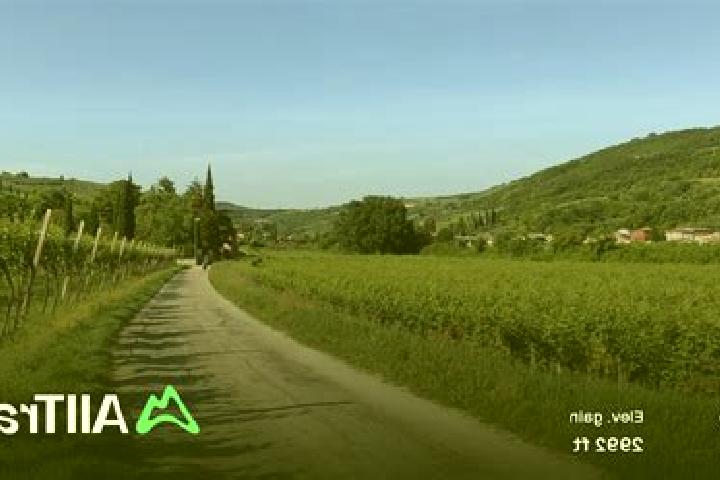 Luna, 36 — Escort in San Briccio, Italy