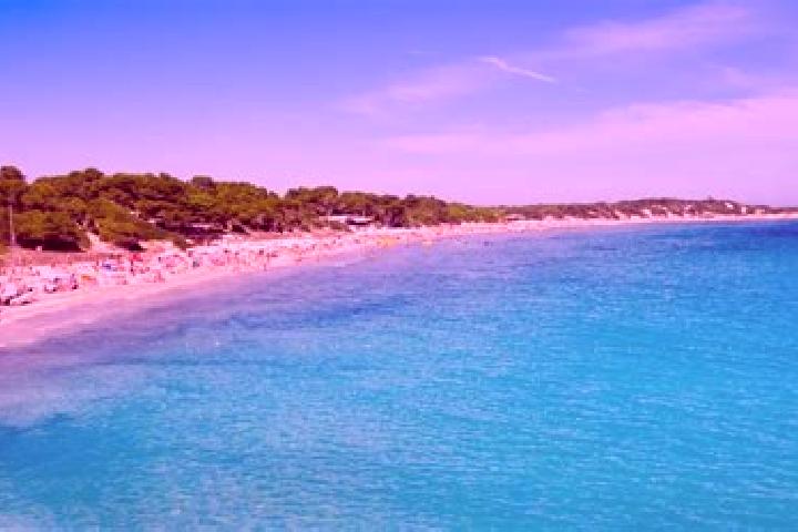 Luna, 36 — Escort in Ses Salines, Spain