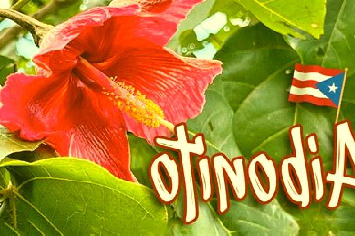 Luna, 37 — Escort in Aibonito, Puerto Rico