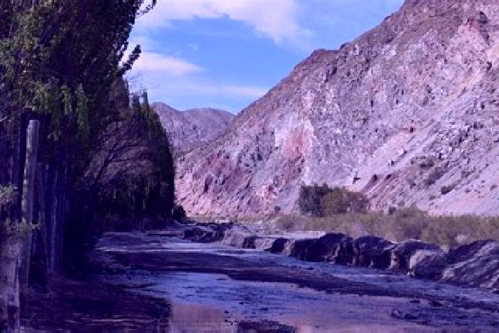 Luna, 37 — Escort in Villa Media Agua, Argentina