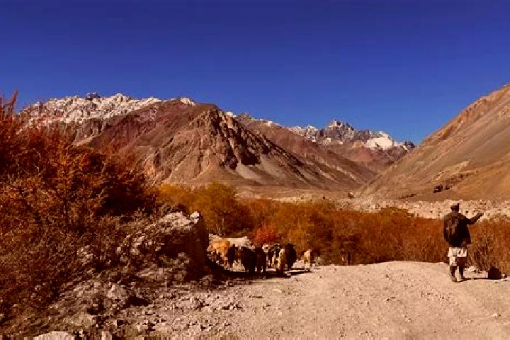 Luna, 37 — Escort in Ziarat, Pakistan