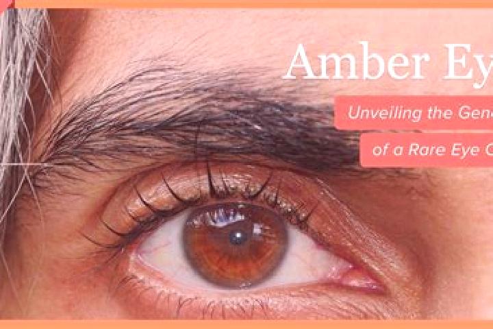 Luna, 38, a black amber-eyed caucasian companion based in Jistrum. Offering Couples, Tantra, 69, BDSM. Available for incall and outcall, day and evening dates.