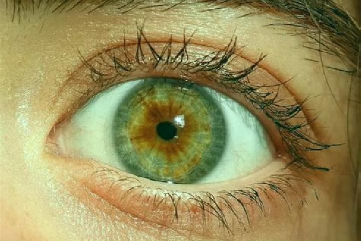 Luna, 38, a red hazel-eyed middle eastern companion based in El Palmar. Offering Overnight, Party Girl, Domination. Available for incall and outcall, day and...